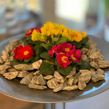 Lade das Bild in den Galerie-Viewer, Dekosteine Wood Stone - Stein Ambiente