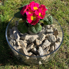 Lade das Bild in den Galerie-Viewer, Dekosteine Wood Stone - Stein Ambiente