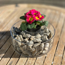 Lade das Bild in den Galerie-Viewer, Dekosteine Wood Stone - Stein Ambiente