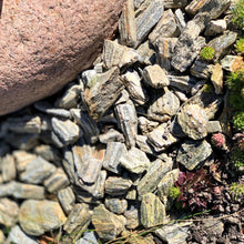 Lade das Bild in den Galerie-Viewer, Dekosteine Wood Stone - Stein Ambiente