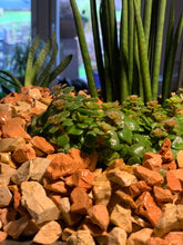 Lade das Bild in den Galerie-Viewer, Ziersplitt Mediterran Medistone - Stein Ambiente