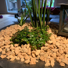 Lade das Bild in den Galerie-Viewer, Ziersplitt Mediterran Medistone - Stein Ambiente