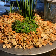 Lade das Bild in den Galerie-Viewer, Ziersplitt Mediterran Medistone - Stein Ambiente